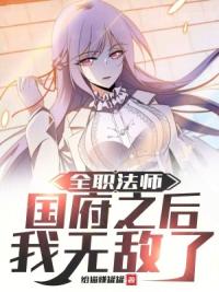 全职法师：国府之后我无敌了